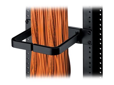Panduit Vertical D-ring