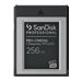 SANDISK Prof. PRO-CINEMA 256Go CFexpres