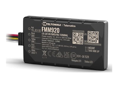 TELTONIKA TELEMATICS FMM920 - FMM920345M01