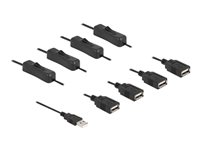DeLOCK 4 pin USB Type A (male) - 4 pin USB Type A (female) Sort 1m Strøm-splitter