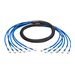 Eaton Tripp Lite Series Cat6a 10G Pre-Terminated Copper Trunk Assembly (6x RJ45 M/M), Blue, 15 ft. (4.57 m)