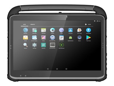 DT Research DT313Q Tablet rugged Android 9.0 (Pie) or later 64 GB 13.3INCH (1920 x 1080) 