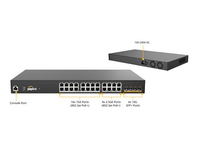 Peplink Switch Series