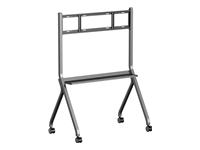 Iiyama Options Iiyama MD-CART02-S1