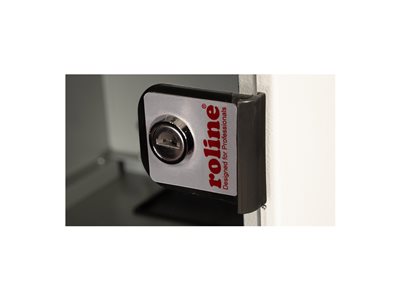 ROLINE 25,4cm Wandgehäuse 6 HE