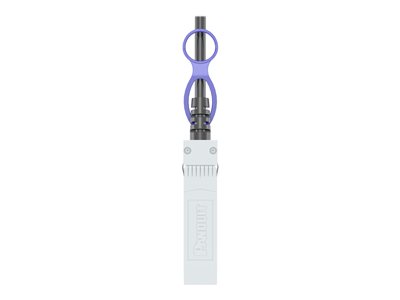 Panduit 10Gig - 10GBase direct attach cable