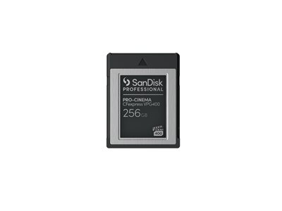 SanDisk Professional