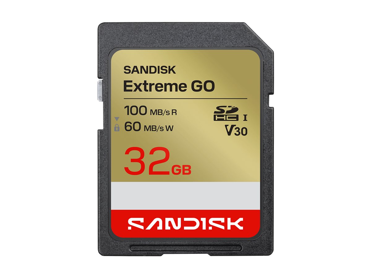 SanDisk Extreme Go - Flash memory card