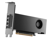 NVIDIA - Carte graphique - RTX PRO 2000 Blackwell - 16 Go GDDR7 