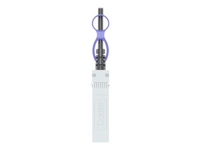 Panduit 10Gig - 10GBase direct attach cable