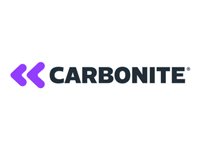 Carbonite Availability Subscription license (1 year) + 24x7 Support 1 server HPE Complete 