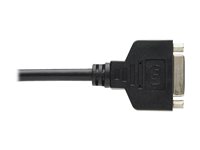 EATON TRIPPLITE DisplayPort to DVI-I