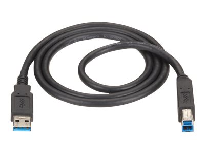 Black Box - USB cable