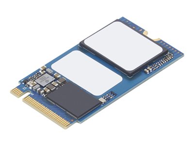 Lenovo - SSD - 256 GB