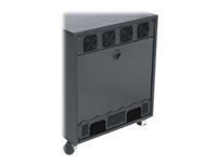 Middle Atlantic RAP Series RK-RAP12 - rack rear access panel - 12U