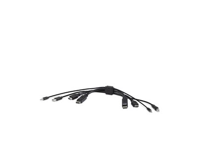 Belkin Secure KVM Combo Cable