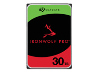 Seagate IronWolf Pro ST30000NT011