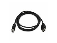 StarTech.com - Câble USB - Conformité TAA - USB (M) pour USB type B (M) 