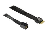 Inter-Tech Serial Attached SCSI (SAS) internt kabel Sort 70cm