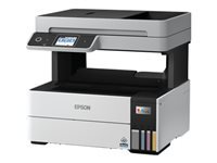 Epson Multifonction Jet d'encre C11CJ88402