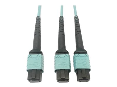 Eaton Tripp Lite Series 400G Multimode 50/125 OM4 Plenum Fiber Optic Cable, 24F MTP/MPO-PC to (x2) 12F MTP/MPO-PC (F/F), Aqua, 3 m