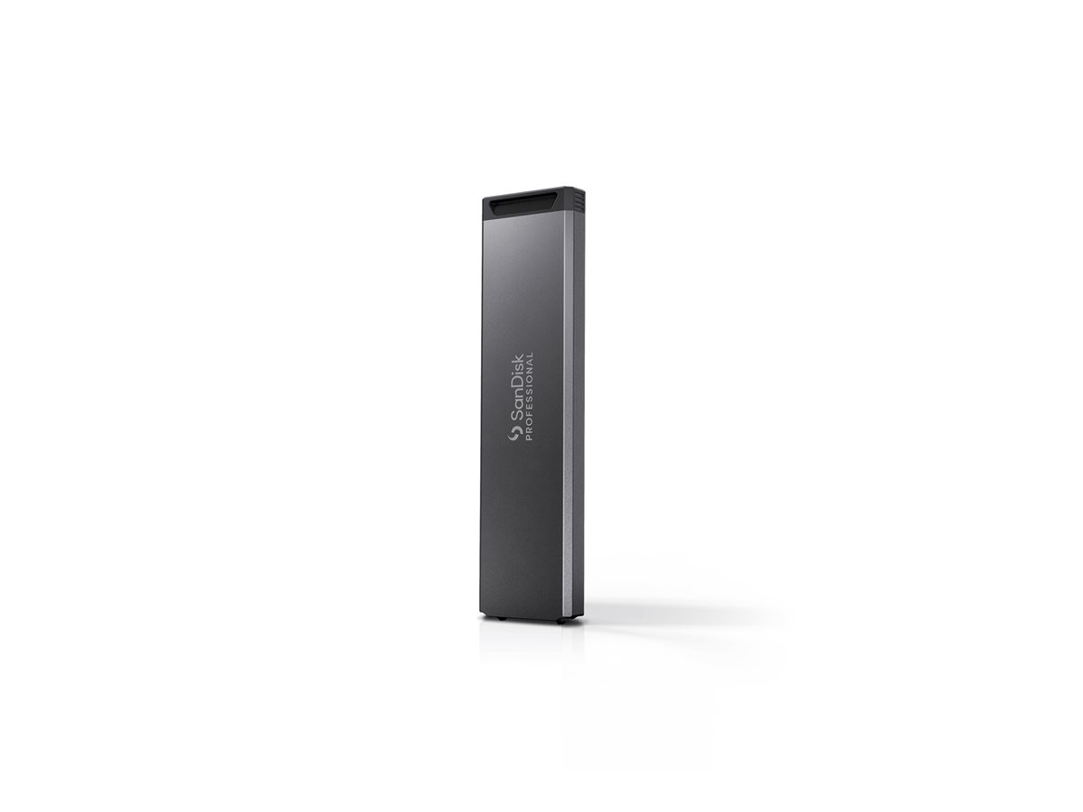 SanDisk Professional...
