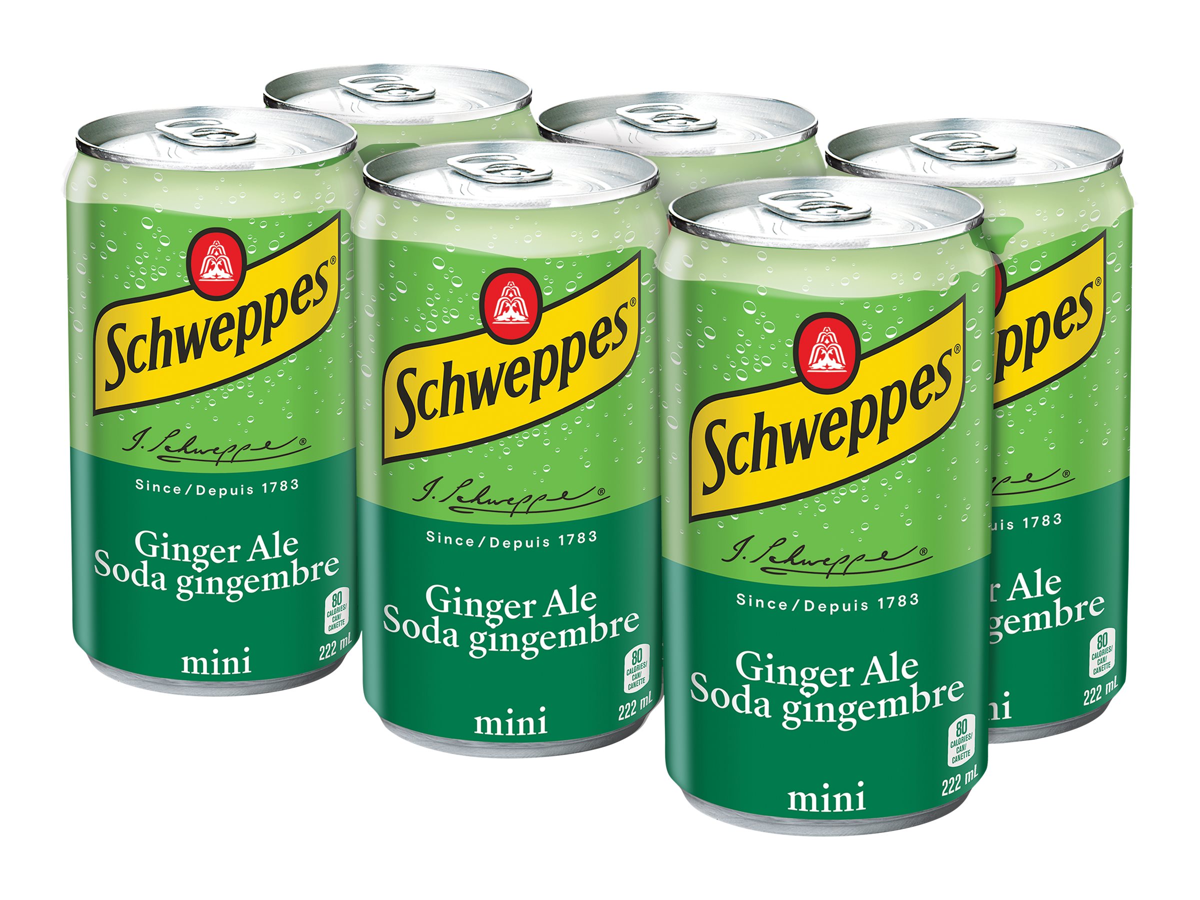 Schweppes Ginger Ale - 6x222ml