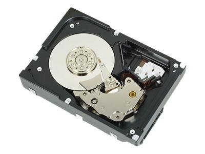 DELL 300GB 10K 6GBS 2.5-IN SFF_ SAS H-P HDD