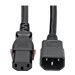 Tripp Lite C14 Male to C13 Female Power Cable, Locking C13 Connector, Heavy Duty