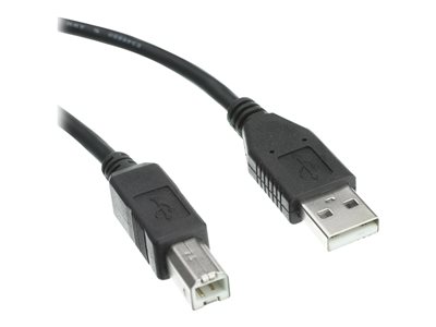Axiom USB cable USB to USB Type - 3 ft