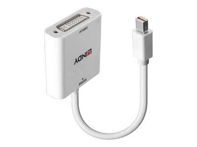 video adapter - Mini DisplayPort to DVI - 18 cm