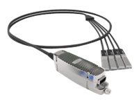 Cisco 4SQRA Reverse Adapter