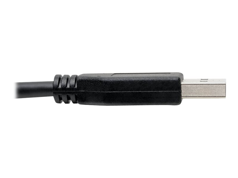 EATON TRIPPLITE USB-C to USB-A Cable M/M