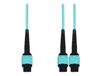 AddOn - Câble croisé en éventail - MPO/PC multi-mode (F) pour MPO/PC multi-mode (F) - 9 m 