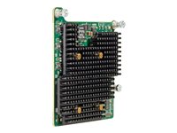 Hewlett Packard Enterprise  FlexFabric 700076-B21