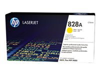 HP Options HP CF364A