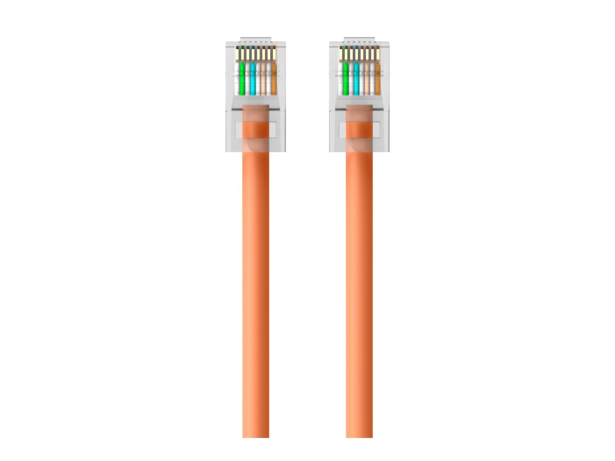 Belkin - Patch cable