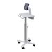 Ergotron StyleView Tablet Cart, SV10