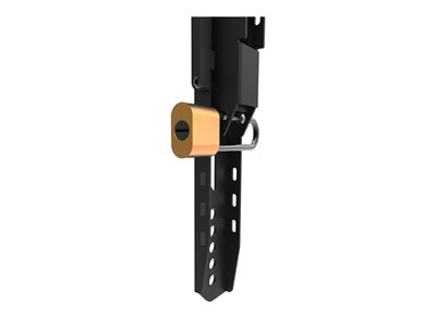NEOMOUNTS LEVEL-750 Wall Mount XL 100kg