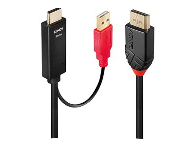 LINDY HDMI an DisplayPort Adapterkabel 1m - 41425