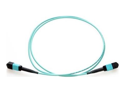 Axiom - Trunk cable - TAA Compliant
