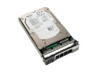 Dell - Hard drive - 300 GB