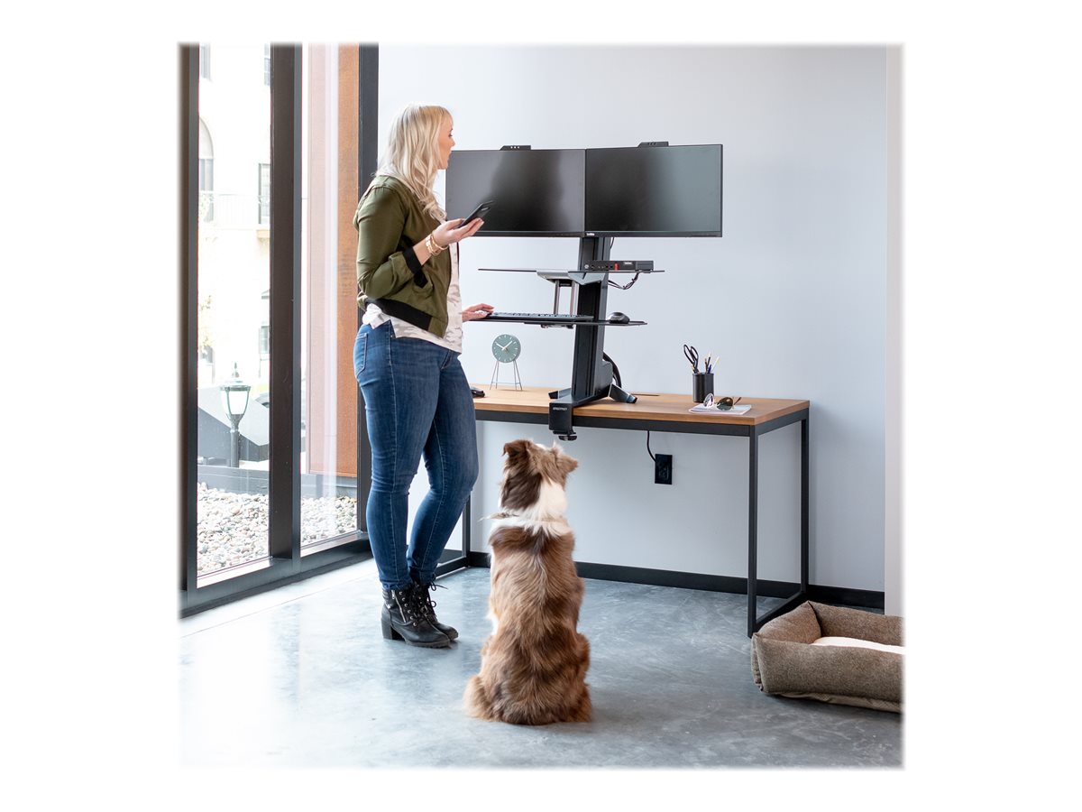 Ergotron WorkFit-S Dual Workstation - nástavec na stůl - hranatý - černá – foto 3