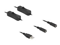 DeLOCK 4 pin USB Type A (male) - Strøm DC jackstik 5,5 mm (ID: 2,1 mm) (female) Sort 1m Strøm-splitter