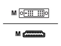 Sharkoon Videoadapterkabel HDMI / DVI 1m Sort