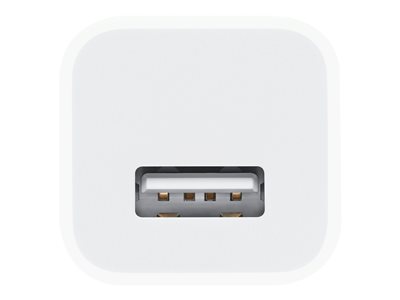 Apple - Power adapter - 5 Watt (USB)
