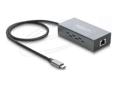 DELOCK USB-C Netzwerk Adapter Gigabit LAN 1x RJ45 PoE