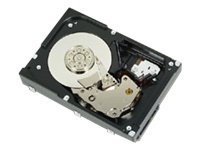 DELL 1TB 3.5-IN LFF SAS 6GBS 7.2K RPM 512N NL H-P HDD