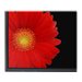AVer CP2-75 - Image 4: Close-up