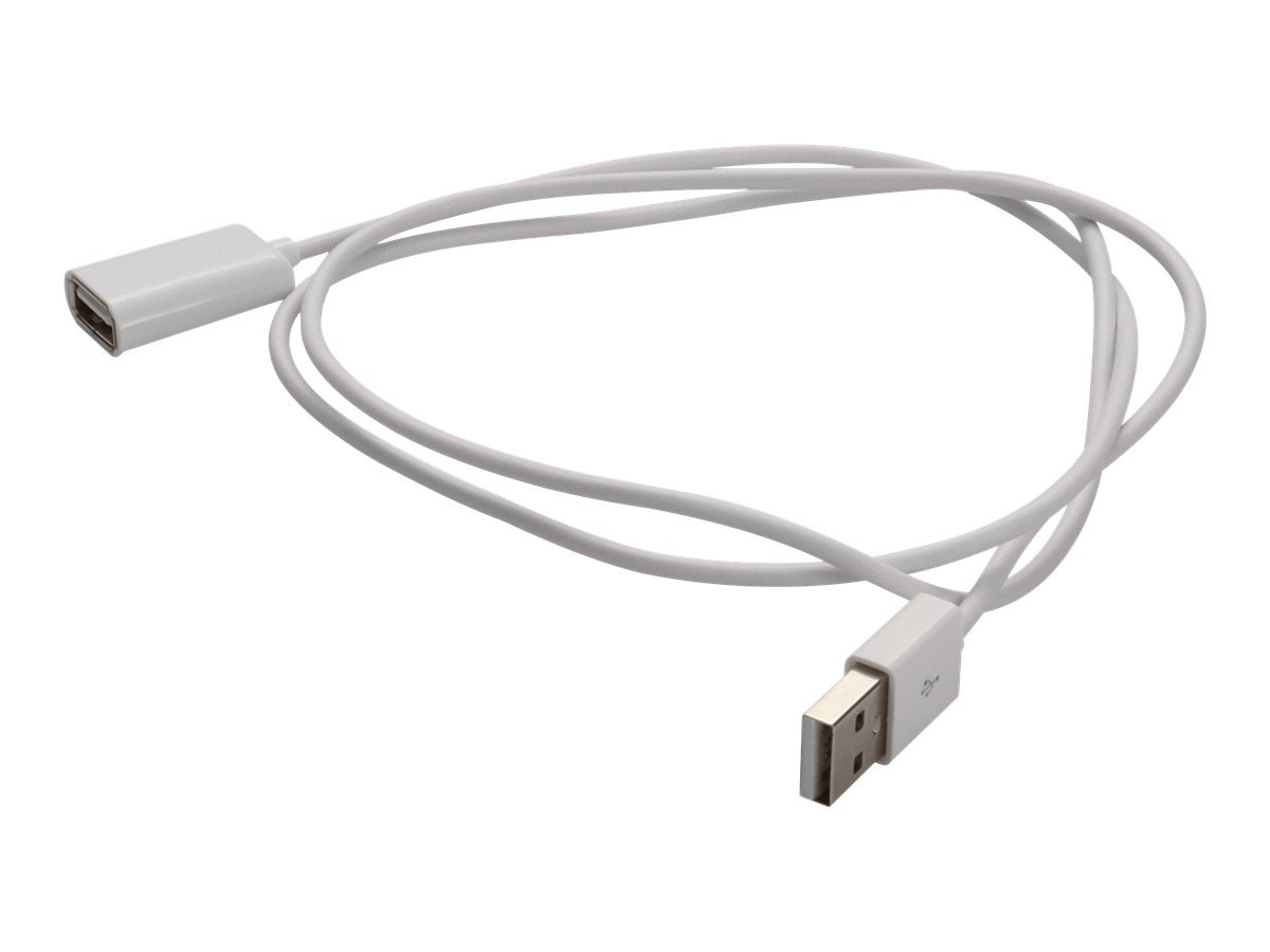 AddOn - USB cable - USB Type B (M) to USB (M)